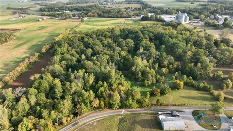 Tiny photo for 0000 Vollmer Rd - Tract 2, Ney, OH 43549 (MLS # 6136837)