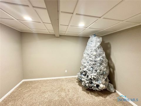 Tiny photo for 19950 County Road X, Archbold, OH 43502 (MLS # 6133085)