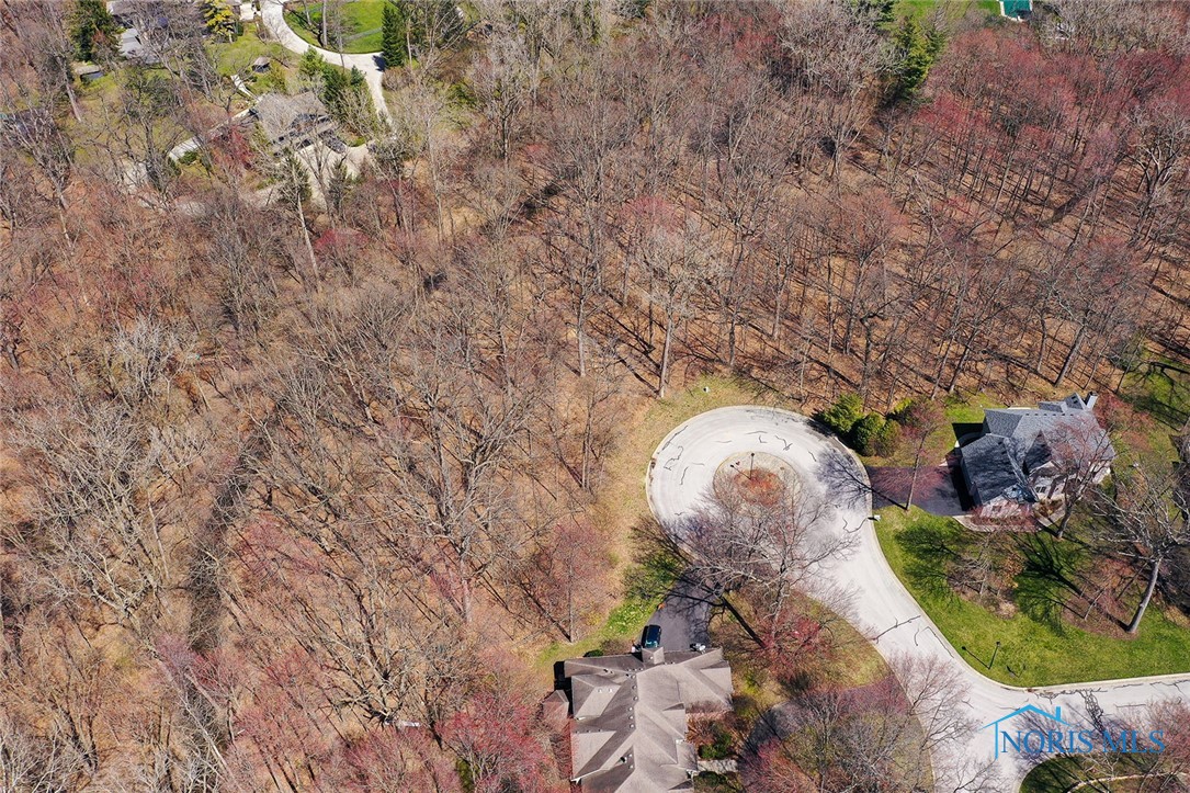 10701 Brexton Court, Whitehouse, Ohio image 4