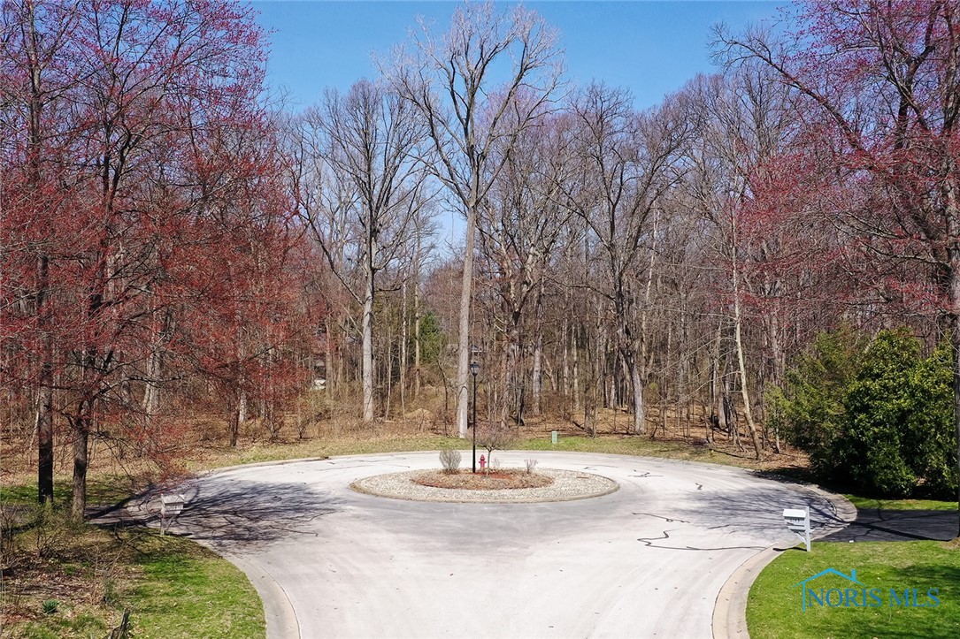 10701 Brexton Court, Whitehouse, Ohio image 7