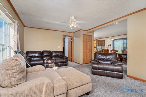 Tiny photo for 11661 Veler Road, Martin, OH 43445 (MLS # 6136503)