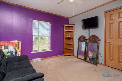 Tiny photo for 11661 Veler Road, Martin, OH 43445 (MLS # 6136503)