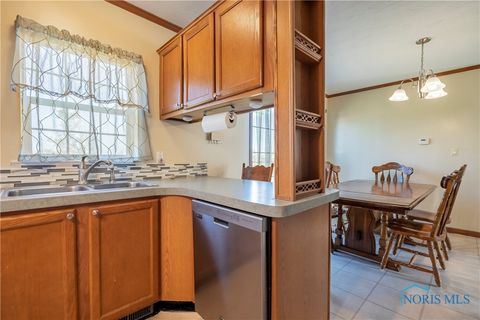 Tiny photo for 11661 Veler Road, Martin, OH 43445 (MLS # 6136503)