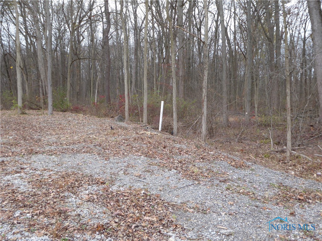 7758 Yawberg Road, Whitehouse, Ohio image 10