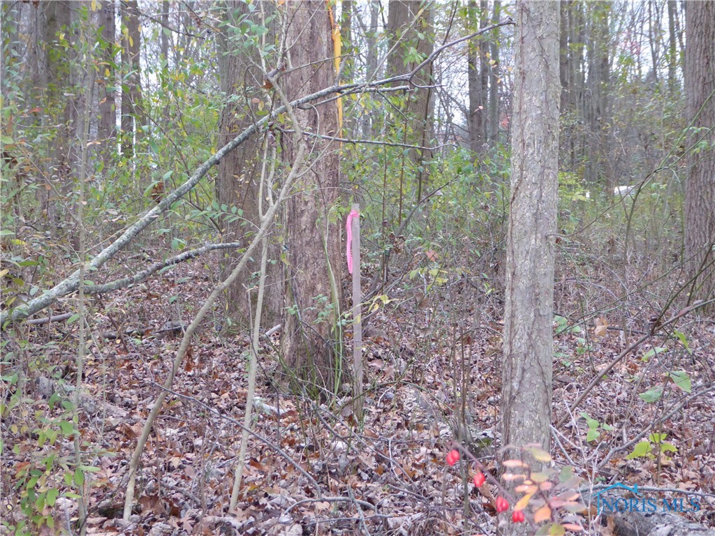 7758 Yawberg Road, Whitehouse, Ohio image 12