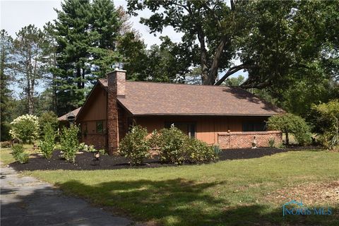 Photo of 12036 Archbold Whitehouse Road, Whitehouse, OH 43571 (MLS # 6135468)