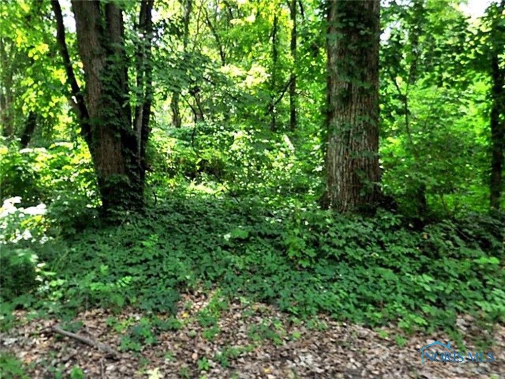 6043 Roan Road, Sylvania, Ohio image 1