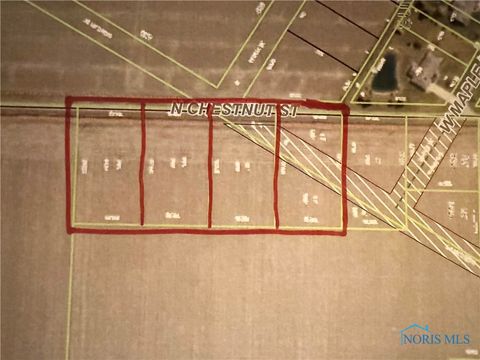 Vacant Land For Sale - 2A Co. Rd.<br/> Deshler, OH 43516