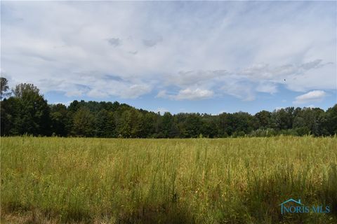 Photo of 12036 Archbold Whitehouse Road, Whitehouse, OH 43571 (MLS # 6135472)