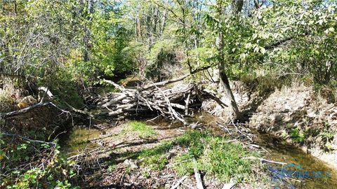 Tiny photo for 0 State Route 249, Ney, OH 43549 (MLS # 6136800)