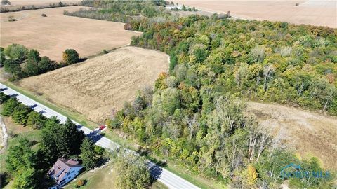 Tiny photo for 0 State Route 249, Ney, OH 43549 (MLS # 6136800)
