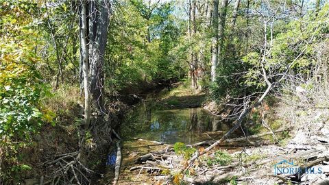 Tiny photo for 0 State Route 249, Ney, OH 43549 (MLS # 6136800)