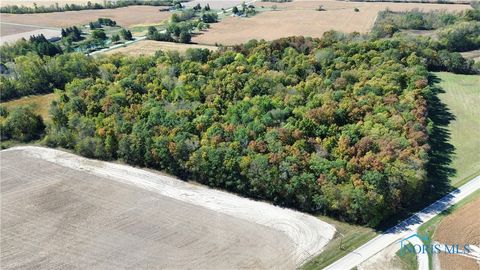 Tiny photo for 0 State Route 249, Ney, OH 43549 (MLS # 6136800)