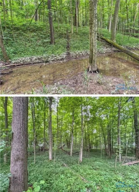Tiny photo for 0 State Route 249, Ney, OH 43549 (MLS # 6136800)