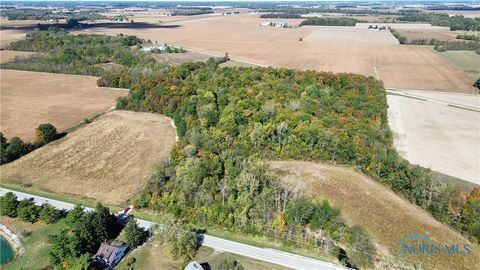 Tiny photo for 0 State Route 249, Ney, OH 43549 (MLS # 6136800)