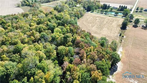 Tiny photo for 0 State Route 249, Ney, OH 43549 (MLS # 6136800)
