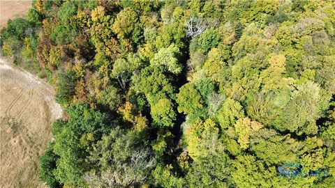 Tiny photo for 0 State Route 249, Ney, OH 43549 (MLS # 6136800)