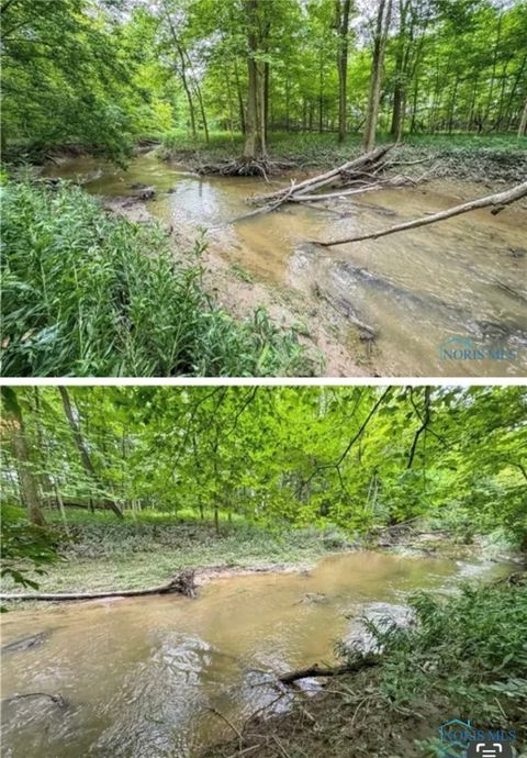 Tiny photo for 0 State Route 249, Ney, OH 43549 (MLS # 6136800)