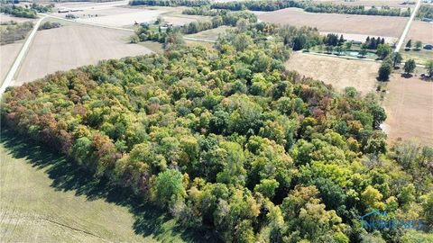 Tiny photo for 0 State Route 249, Ney, OH 43549 (MLS # 6136800)