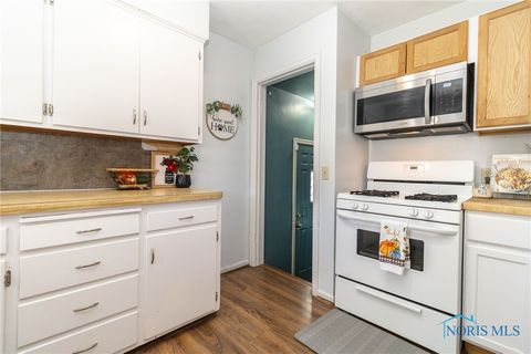 Tiny photo for 5220 302nd Street, Toledo, OH 43611 (MLS # 6136469)