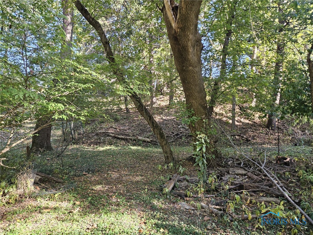 1954 Glen Arbor Drive, Toledo, Ohio image 46