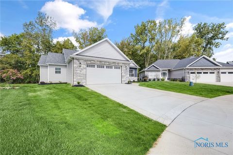 Photo of 6952 Red Stag Court, Whitehouse, OH 43571 (MLS # 6136306)