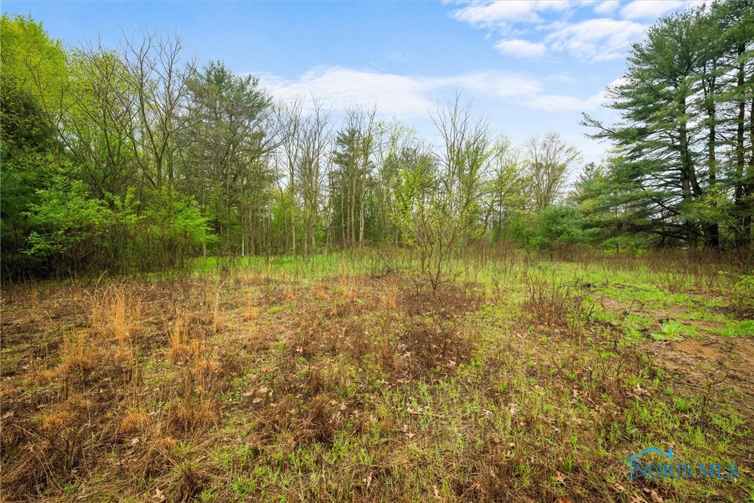 5646 County Road 1 2, Swanton, Ohio image 8