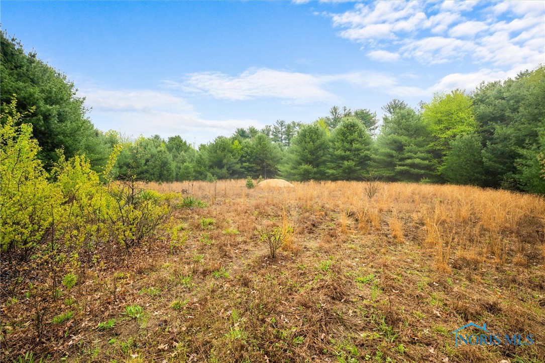 5646 County Road 1 2, Swanton, Ohio image 7