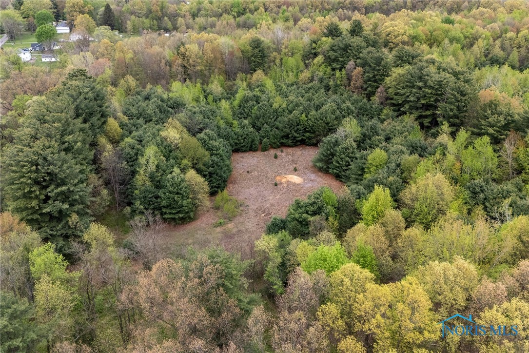 5646 County Road 1 2, Swanton, Ohio image 3