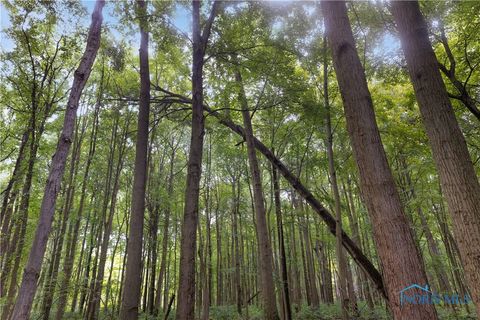 Tiny photo for 11670 Co Rd L, Wauseon, OH 43567 (MLS # 6133663)