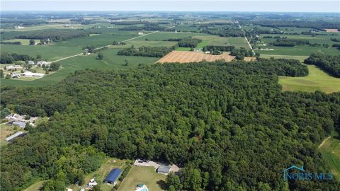 Photo of 0 County Road L, Wauseon, OH 43567 (MLS # 6133663)