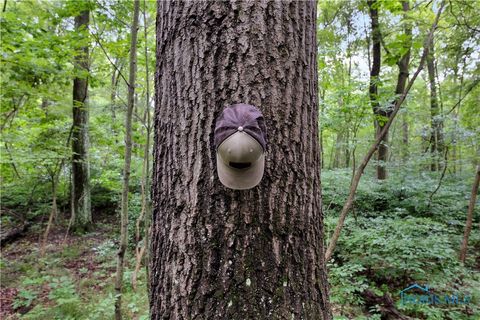 Tiny photo for 11670 Co Rd L, Wauseon, OH 43567 (MLS # 6133663)