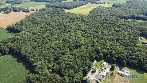 Tiny photo for 11670 Co Rd L, Wauseon, OH 43567 (MLS # 6133663)