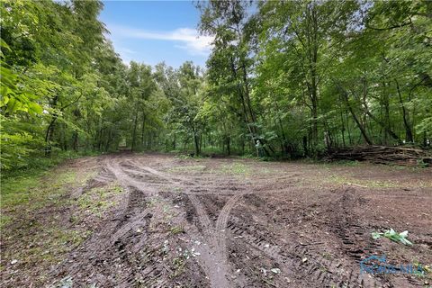 Tiny photo for 11670 Co Rd L, Wauseon, OH 43567 (MLS # 6133663)