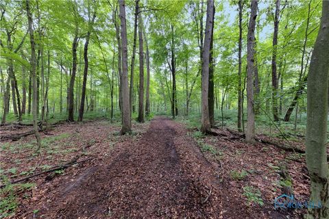 Tiny photo for 11670 Co Rd L, Wauseon, OH 43567 (MLS # 6133663)