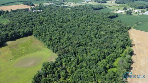 Tiny photo for 11670 Co Rd L, Wauseon, OH 43567 (MLS # 6133663)