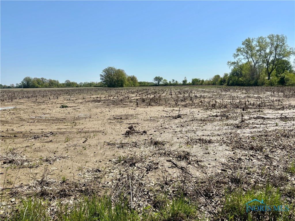 N Martin Williston, Curtice, Ohio image 10