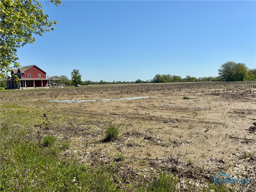 N Martin Williston, Curtice, Ohio image 9