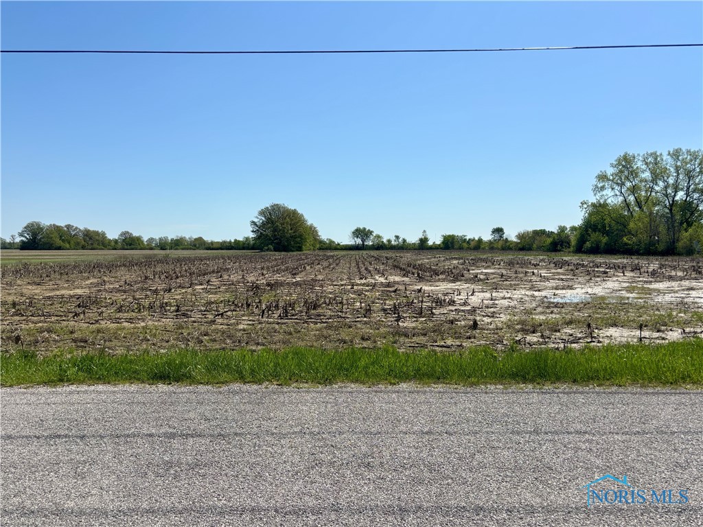 N Martin Williston, Curtice, Ohio image 12