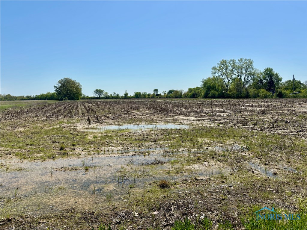 N Martin Williston, Curtice, Ohio image 11