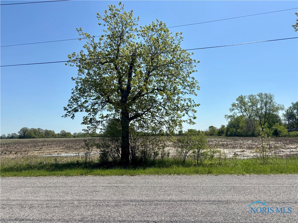 N Martin Williston, Curtice, Ohio image 13
