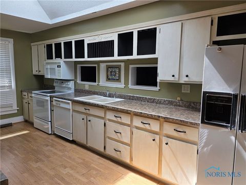 Tiny photo for 234 W Chestnut Street, Wauseon, OH 43567 (MLS # 6133078)