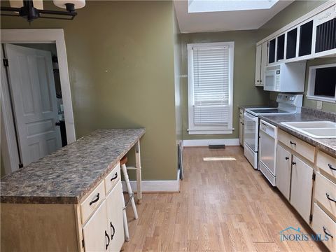 Tiny photo for 234 W Chestnut Street, Wauseon, OH 43567 (MLS # 6133078)