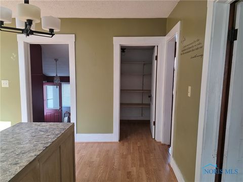 Tiny photo for 234 W Chestnut Street, Wauseon, OH 43567 (MLS # 6133078)