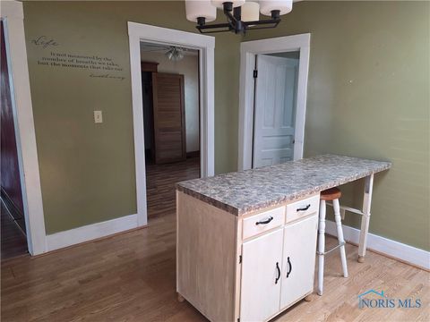 Tiny photo for 234 W Chestnut Street, Wauseon, OH 43567 (MLS # 6133078)