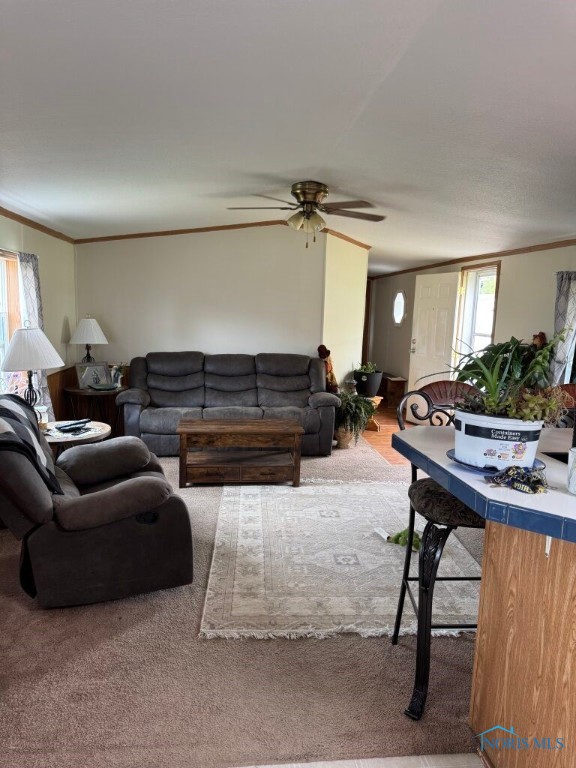 1285 N Shoop Avenue, Wauseon, Ohio image 2
