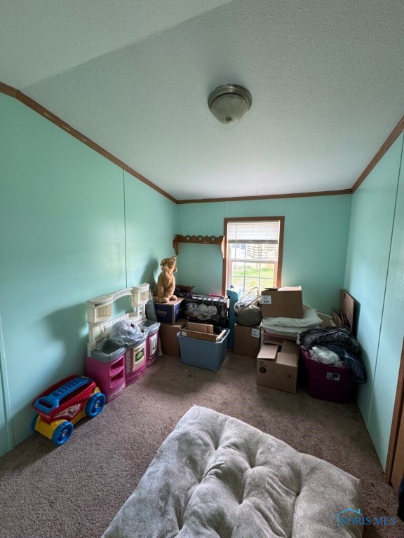 1285 N Shoop Avenue, Wauseon, Ohio image 11