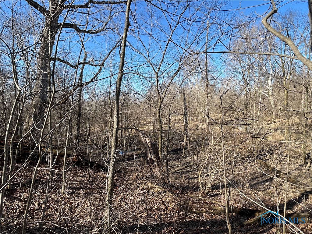 9885 Road 171, Oakwood, Ohio image 25