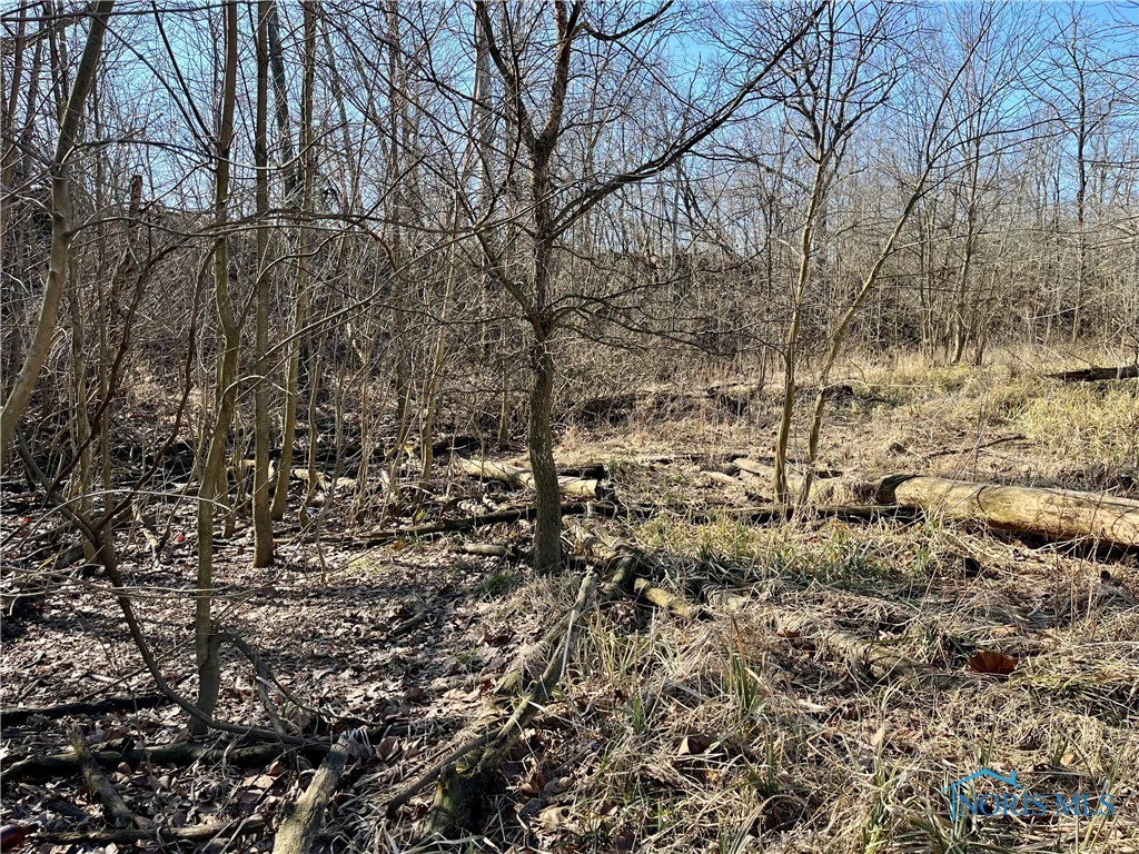 9885 Road 171, Oakwood, Ohio image 24