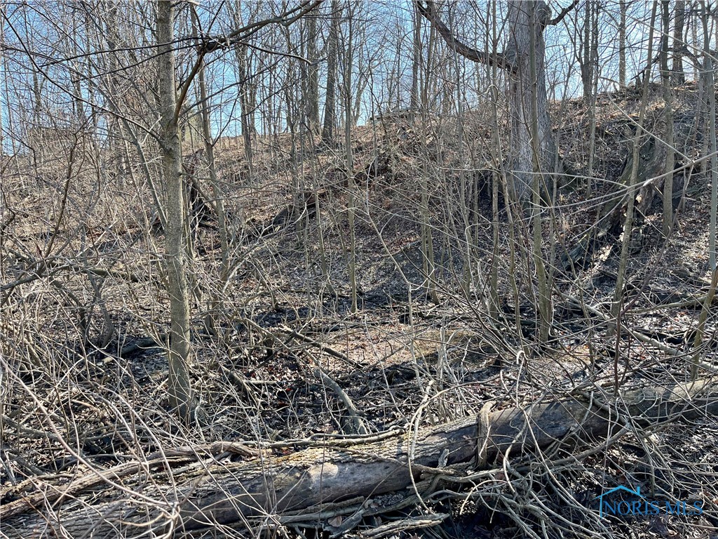 9885 Road 171, Oakwood, Ohio image 23